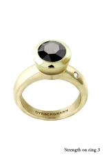 DYRBERG/KERN STRENGTH TOPPING - Image 2